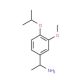 1-(4-isopropoxy-3-methoxyphenyl)ethanamine - chemical structure image