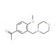 1-[4-methoxy-3-(morpholin-4-ylmethyl)phenyl]ethanone - chemical structure image