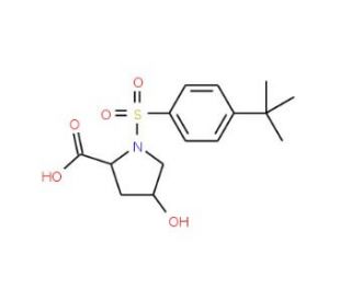 1-(4-tert-Butyl-benzenesulfonyl)-4-hydroxy-pyrrolidine-2-carboxylic acid - chemical structure image