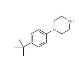 1-(4-tert-Butyl-phenyl)-piperazine (CAS 68104-61-0) - chemical structure image