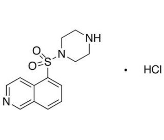 1-(5-Isoquinolinesulfonyl)piperazine Hydrochloride (CAS 141543-63-7) - chemical structure image