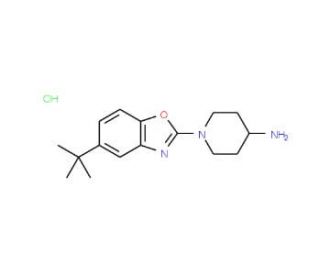 1-(5-tert-Butyl-1,3-benzoxazol-2-yl)piperidin-4-amine hydrochloride - chemical structure image