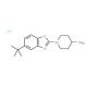 1-(5-tert-Butyl-1,3-benzoxazol-2-yl)piperidin-4-amine hydrochloride - chemical structure image