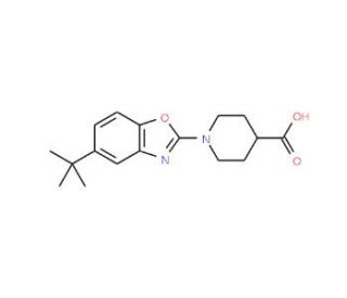 1-(5-tert-Butyl-1,3-benzoxazol-2-yl)piperidine-4-carboxylic acid - chemical structure image