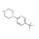 1-(5-Trifluoromethyl-2-pyridinyl)-piperazine (CAS 132834-58-3) - chemical structure image