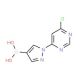 1-(6-Chloropyrimidin-4-yl)pyrazole-4-boronic acid (CAS 1072945-81-3) - chemical structure image