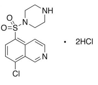 1-(8-Chloro-5-isoquinolinesulfonyl)piperazine, Dihydrochloride (CAS 355115-40-1) - chemical structure image