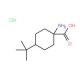 1-amino-4-tert-butylcyclohexane-1-carboxylic acid hydrochloride - chemical structure image