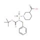 1-{[Benzyl(tert-butoxycarbonyl)amino]sulfonyl}-3-piperidinecarboxylic acid - chemical structure image