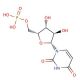 1-β-D-Arabinofuranosyluracil 5′-Monophosphate (CAS 18354-06-8) - chemical structure image