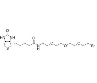 1-Biotinylamino-3,6,9-trioxaundecane-11-bromide (CAS 1041766-91-9) - chemical structure image