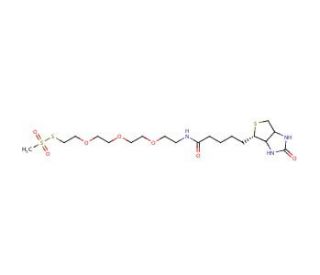 1-Biotinylamino-3,6,9-trioxaundecane-11-yl-methanethiosulfonate - chemical structure image
