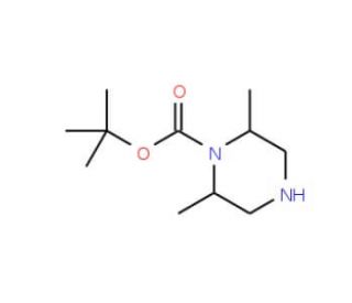 1-Boc-2,6-dimethyl-piperazine (CAS 688363-66-8) - chemical structure image