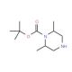 1-Boc-2,6-dimethyl-piperazine (CAS 688363-66-8) - chemical structure image