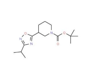 1-Boc-3-(3-isopropyl-1,2,4-oxadiazol-5-yl)piperidine - chemical structure image