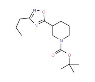1-Boc-3-[3-(n-propyl)-1,2,4-oxadiazol-5-yl]piperidine - chemical structure image