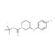 1-Boc-3-(4-chlorophenoxy)piperidine - chemical structure image