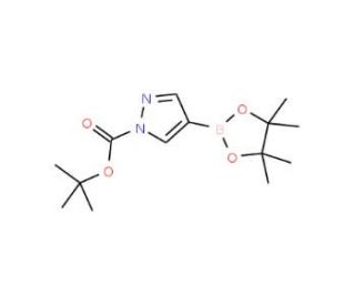 1-Boc-pyrazole-4-boronic acid pinacol ester (CAS 552846-17-0) - chemical structure image