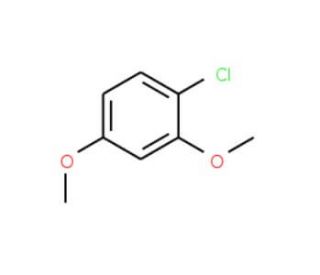 1-Chloro-2,4-dimethoxybenzene (CAS 7051-13-0) - chemical structure image
