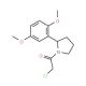 1-(chloroacetyl)-2-(2,5-dimethoxyphenyl)pyrrolidine - chemical structure image