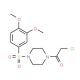 1-(chloroacetyl)-4-[(3,4-dimethoxyphenyl)sulfonyl]piperazine - chemical structure image