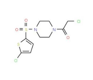 1-(chloroacetyl)-4-[(5-chlorothien-2-yl)sulfonyl]piperazine - chemical structure image