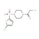 1-(chloroacetyl)-4-[(5-chlorothien-2-yl)sulfonyl]piperazine - chemical structure image