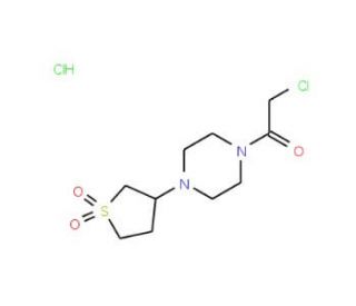 1-(chloroacetyl)-4-(1,1-dioxidotetrahydrothien-3-yl)piperazine hydrochloride - chemical structure image