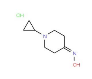 1-cyclopropylpiperidin-4-one oxime hydrochloride - chemical structure image