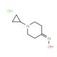 1-cyclopropylpiperidin-4-one oxime hydrochloride - chemical structure image