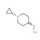 1-cyclopropylpiperidin-4-one oxime - chemical structure image