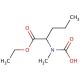 1(Ethoxycarbonyl) butyl methyl carbamic acid - chemical structure image