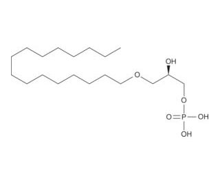 1-Hexadecyl Lysophosphatidic Acid (CAS 52603-03-9) - chemical structure image