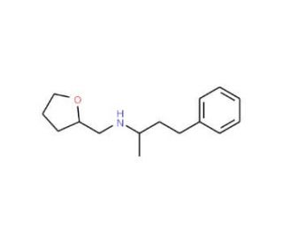 (1-Methyl-3-phenyl-propyl)-(tetrahydro-furan-2-ylmethyl)-amine - chemical structure image