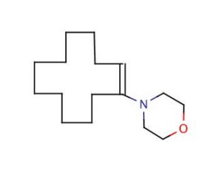 1-Morpholinocyclododecene (CAS 3725-39-1) - chemical structure image