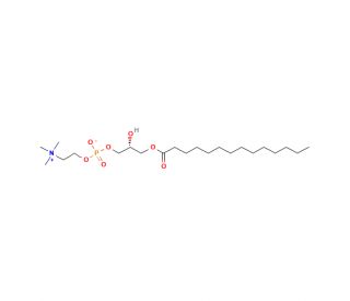 1-Myristoyl-sn-glycero-3-phosphocholine (CAS 20559-16-4) - chemical structure image