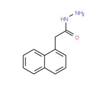 1-Naphthaleneacethydrazide (CAS 34800-90-3) - chemical structure image
