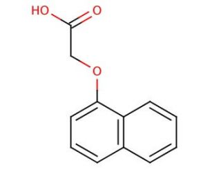 1-Naphthoxyacetic acid (CAS 2976-75-2) - chemical structure image