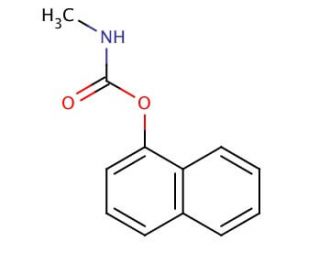 1-Naphthyl-N-methylcarbamate (CAS 63-25-2) - chemical structure image
