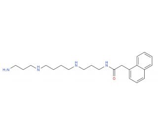 1-Naphthylacetyl Spermine (CAS 122306-11-0) - chemical structure image