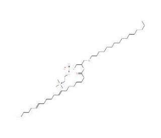 1-O-Hexadecyl-2-O-dihomo-&gamma;-linolenoyl-sn-glycero-3-phosphorylcholine (CAS 155575-01-2) - chemical structure image