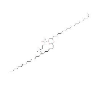 1-O-Hexadecyl-2-O-docosahexaenoyl-sn-glycero-3-phosphorylcholine (CAS 132213-85-5) - chemical structure image