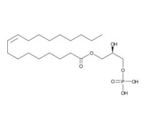 1-Oleoyl lysophosphatidic acid (CAS 65528-98-5) - chemical structure image