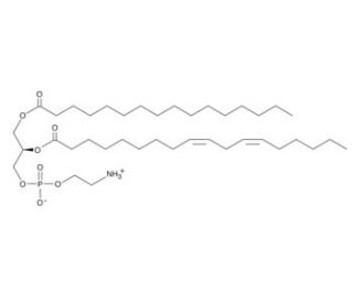 1-Palmitoyl-2-linoleoyl PE (CAS 26662-95-3) - chemical structure image