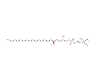 1-Palmitoyl-rac-glycero-3-phosphocholine (CAS 17364-18-0) - chemical structure image