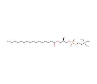 1-Palmitoyl-sn-glycero-3-phosphocholine (CAS 17364-16-8) - chemical structure image