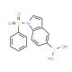 1-(Phenylsulphonyl)-1H-indole-5-boronic acid (CAS 480438-51-5) - chemical structure image