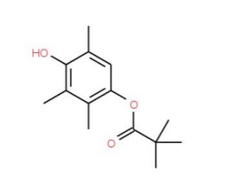 1-Pivaloyl-2,3,5-trimethylhydroquinone (CAS 112109-69-0) - chemical structure image