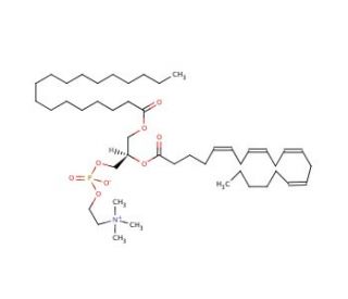 1-Stearoyl-2-Arachidonoyl PC (CAS 35418-59-8) - chemical structure image