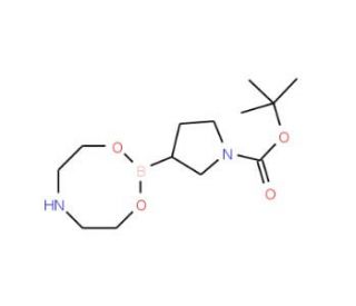 1-(tert-Butoxycarbonyl)pyrrolidine-3-boronic acid diethanolamine ester (CAS 1072944-29-6) - chemical structure image
